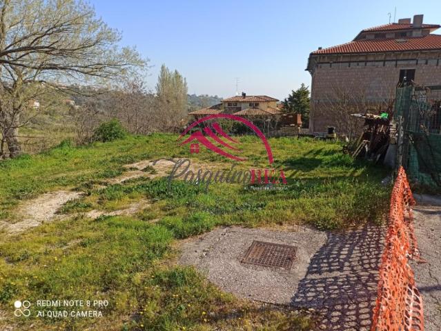 insertion image