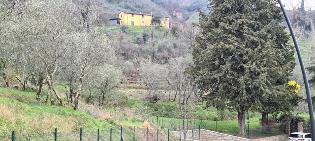 Homestead in 51017 Pescia Pt 51017, Pescia - Photo 1