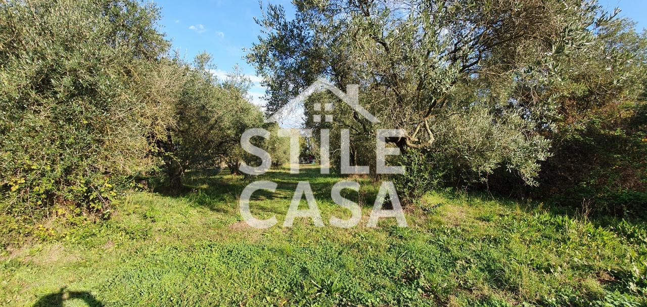 Magazzino in Vicinale Livornese 194, Fucecchio, {3} - Foto 2