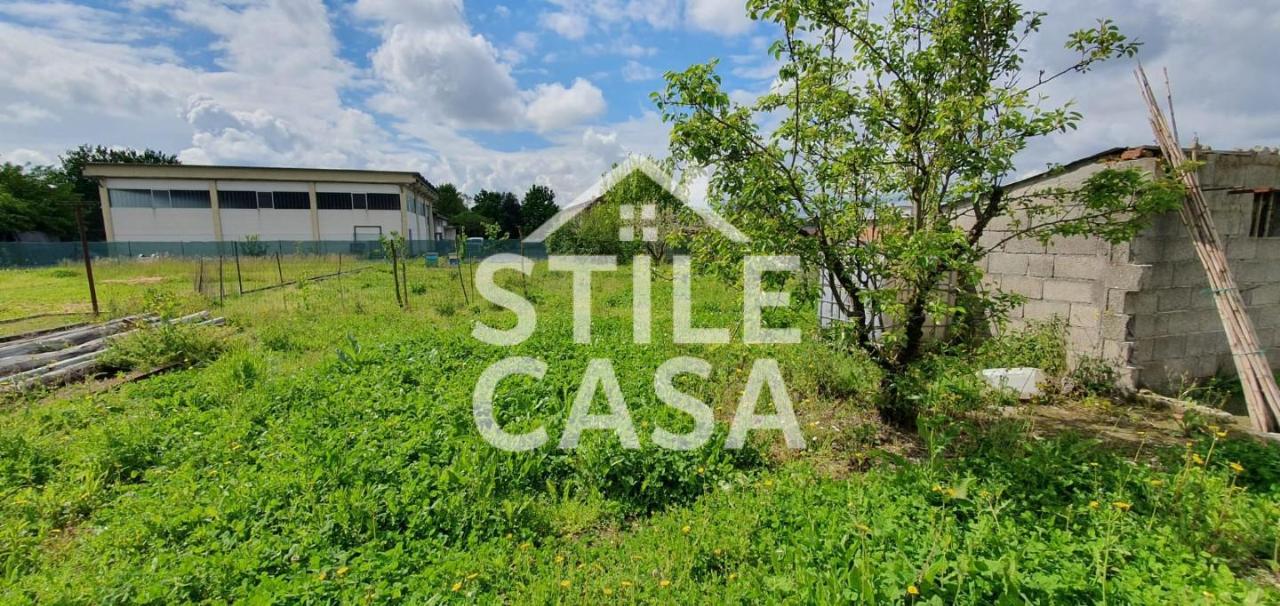 immagine annuncio 6 di 10