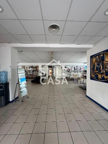 insertion image