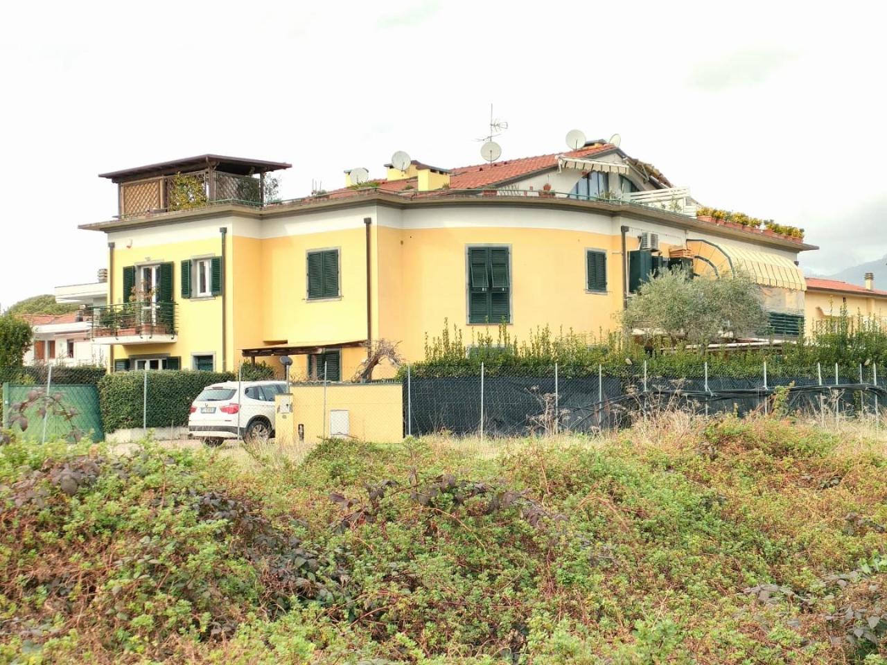 immagine annuncio 0 di 15