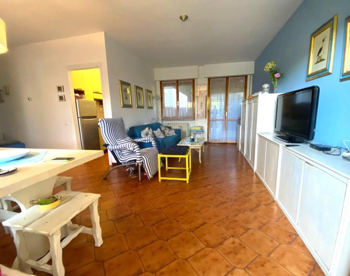 immagine annuncio 11 di 14