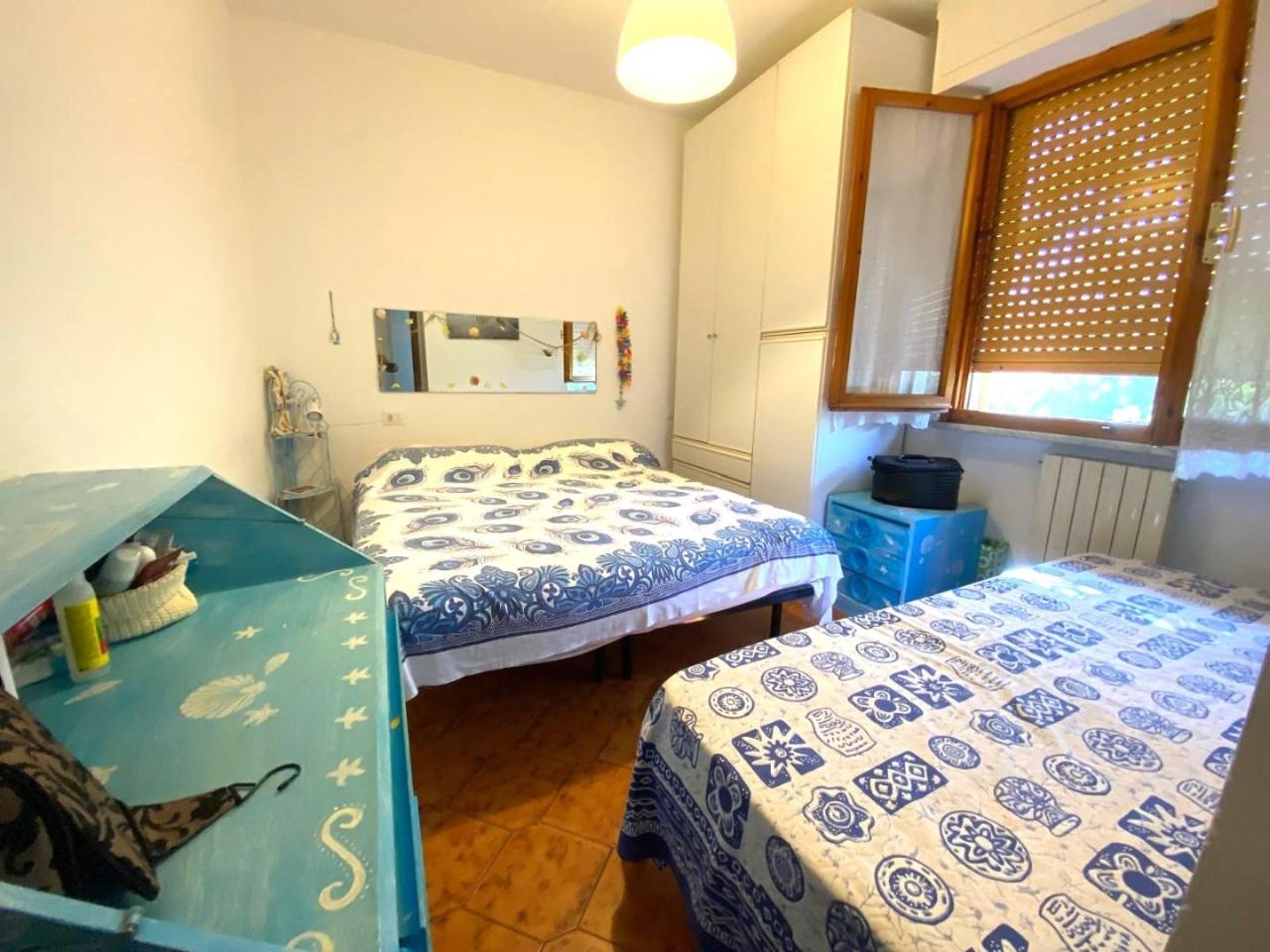 immagine annuncio 5 di 14