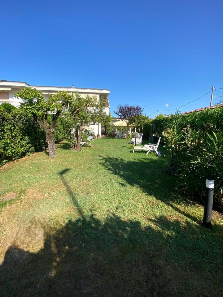 immagine annuncio 9 di 14