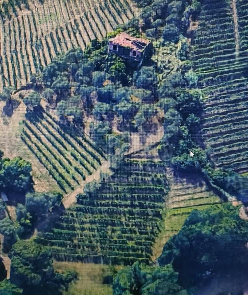 immagine annuncio 1 di 3
