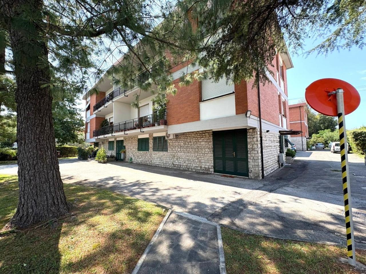 appartamento in vendita a Massa in zona Marina dei Ronchi