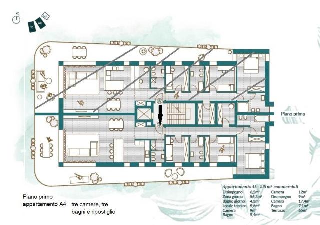 main planimetry real estate image