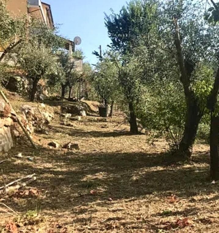 immagine annuncio 5 di 12