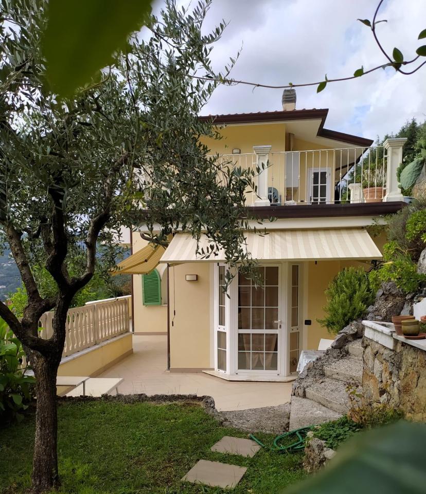 immagine annuncio 1 di 12
