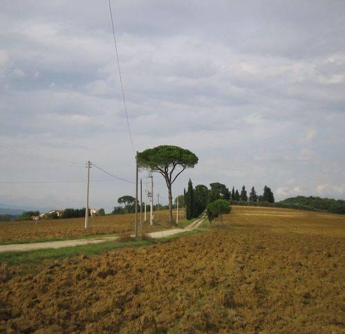 Terreno agricolo in vendita a Monte San Savino