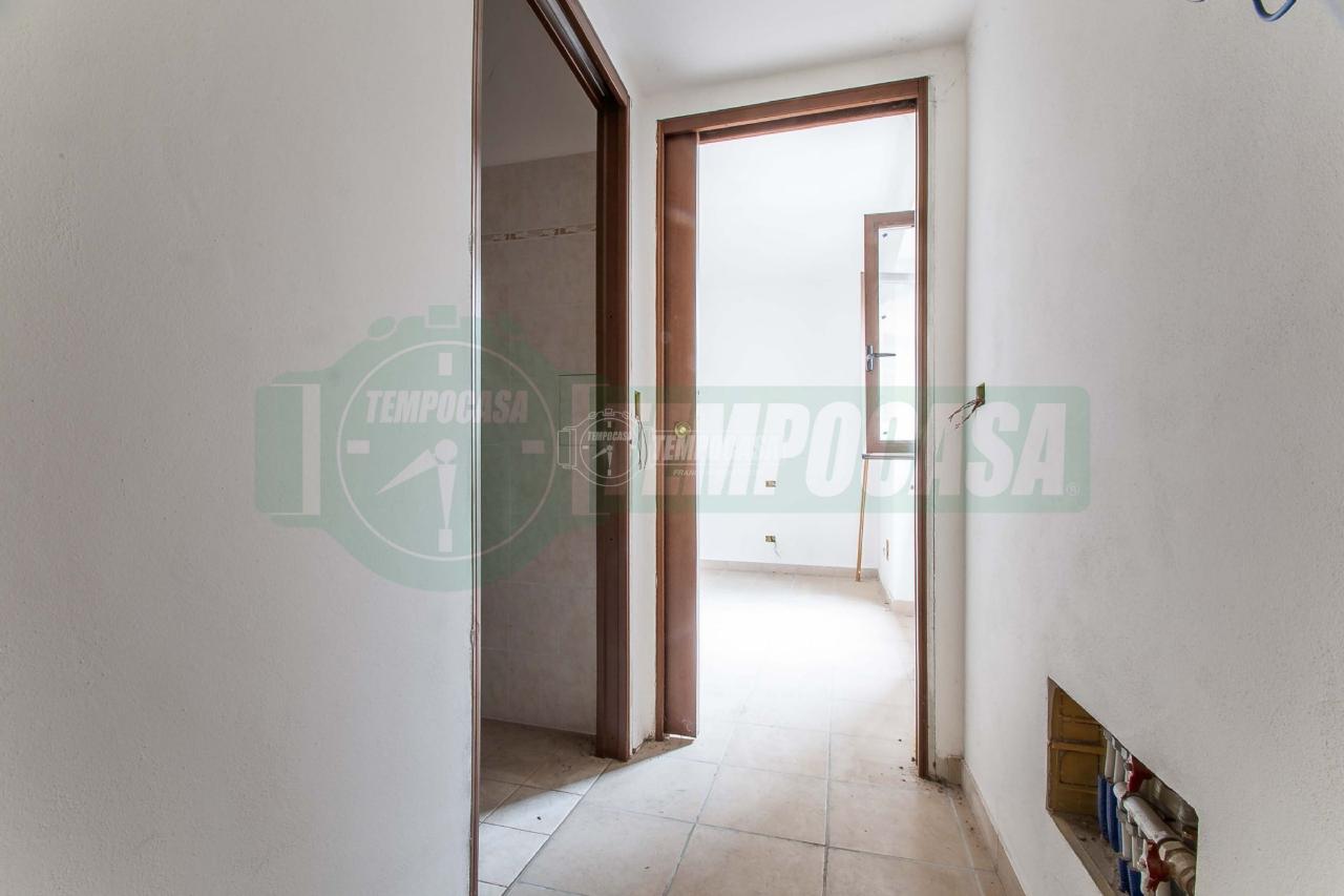 immagine annuncio 11 di 14