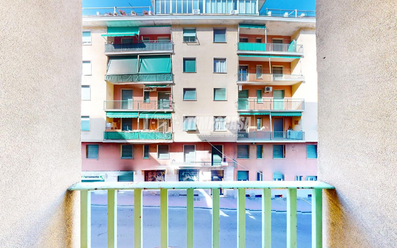 immagine annuncio 12 di 14