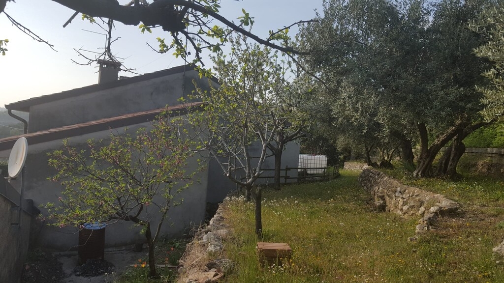 immagine annuncio 13 di 14