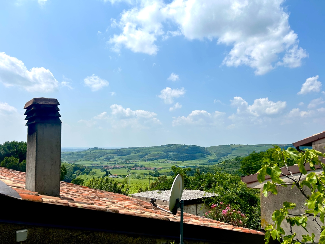 immagine annuncio 3 di 14