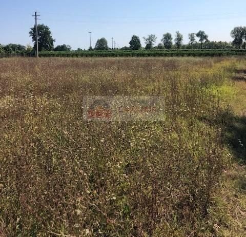 Terreno agricolo in vendita a Oderzo