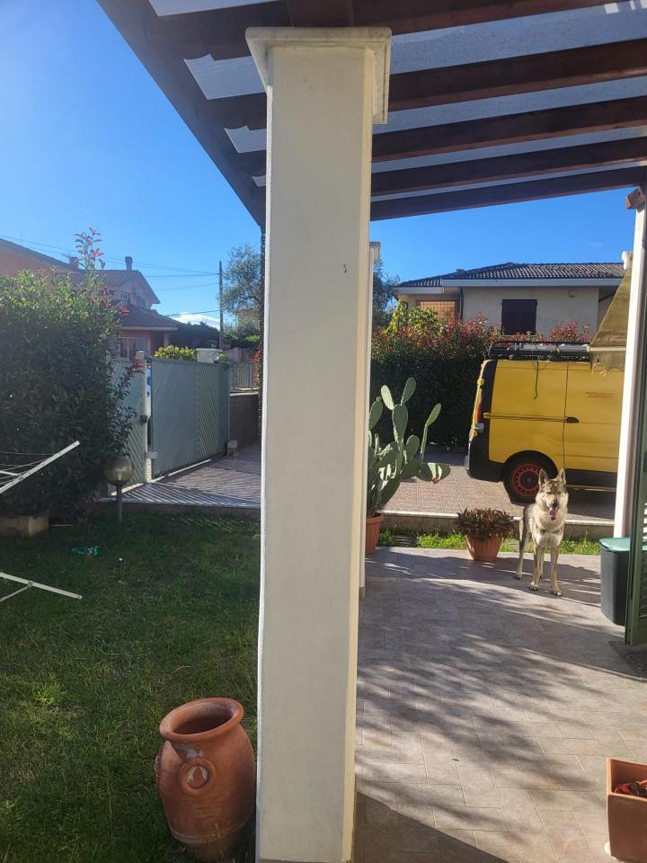 immagine annuncio 2 di 15