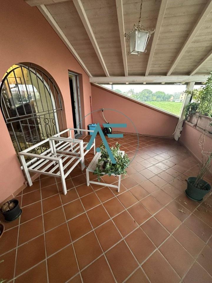 immagine annuncio 11 di 14