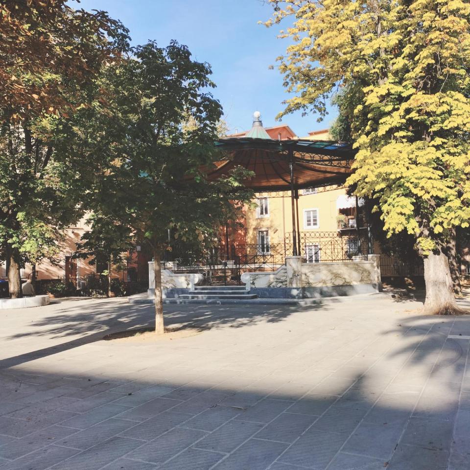 immagine annuncio 12 di 15