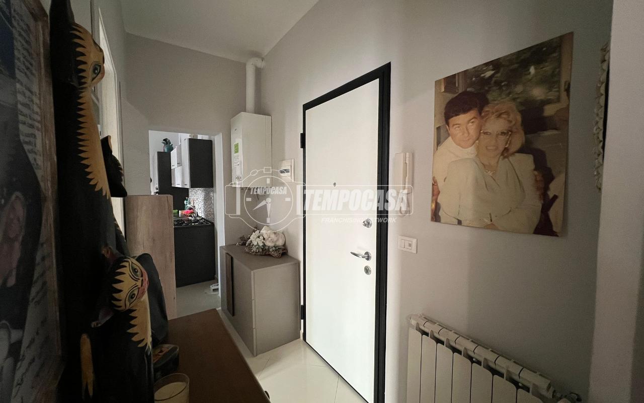 immagine annuncio 7 di 14