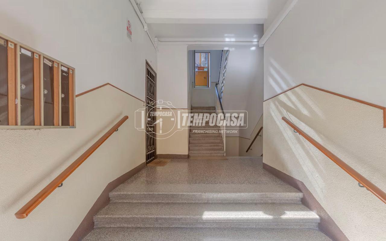 immagine annuncio 11 di 13