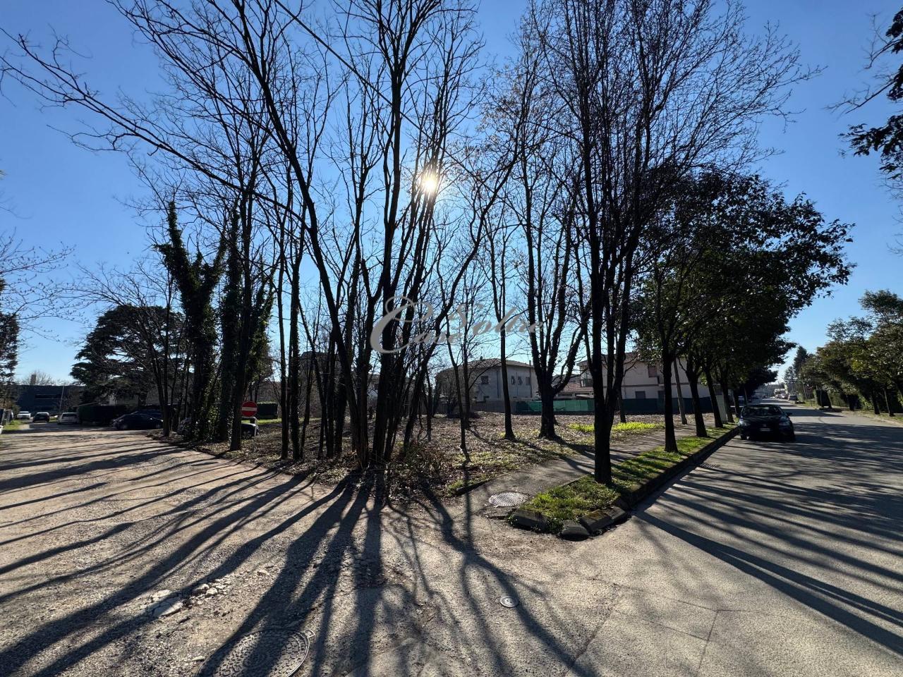 immagine annuncio 6 di 7