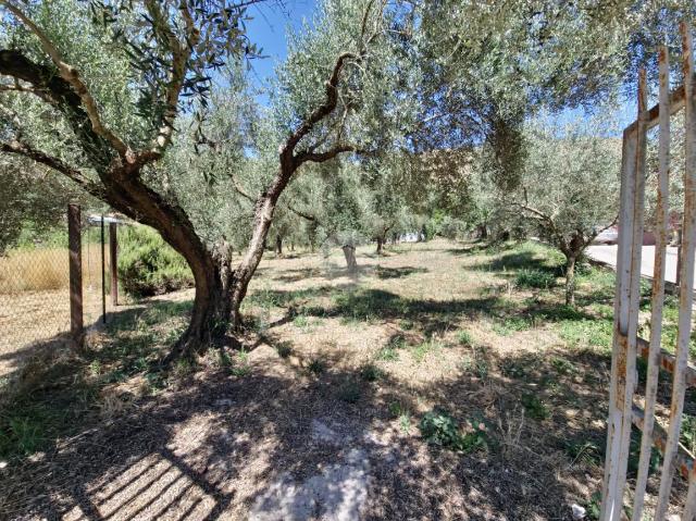 Agricultural land in Via della Prece, Tivoli - Photo 1