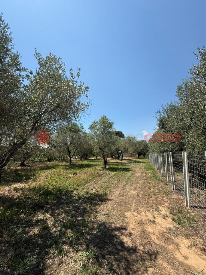 Magazzino in Via Ponte Baratta I, Fondi, {3} - Foto 2