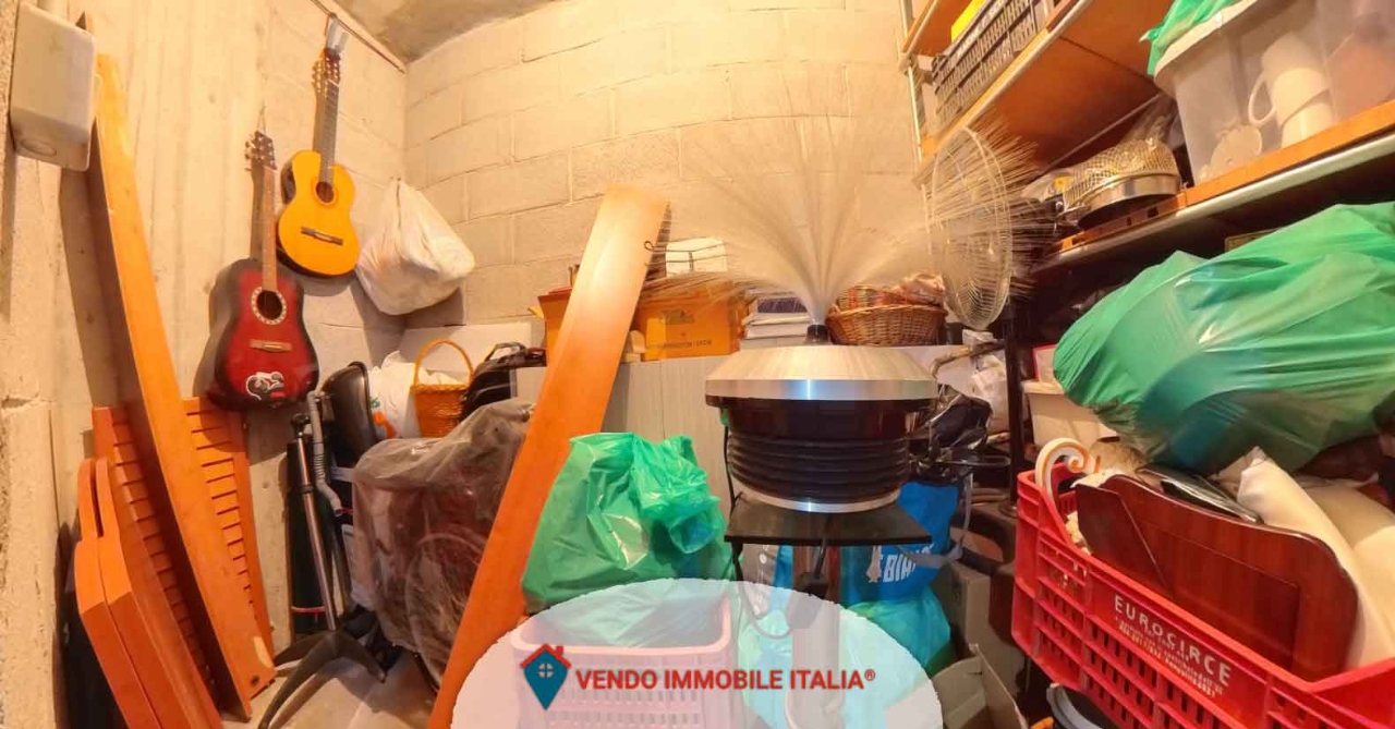 immagine annuncio 6 di 15