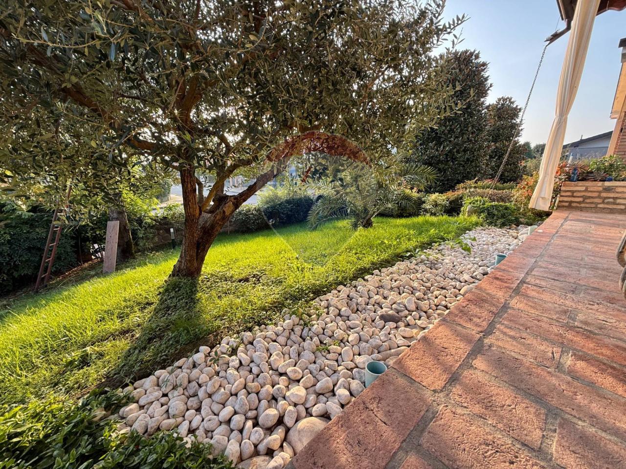 immagine annuncio 5 di 12