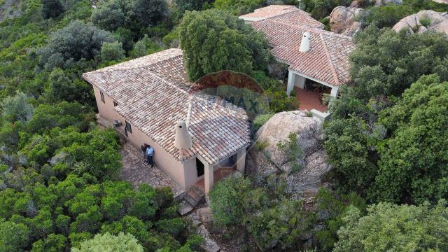 Mansion, Trinità d'Agultu e Vignola - Photo 1