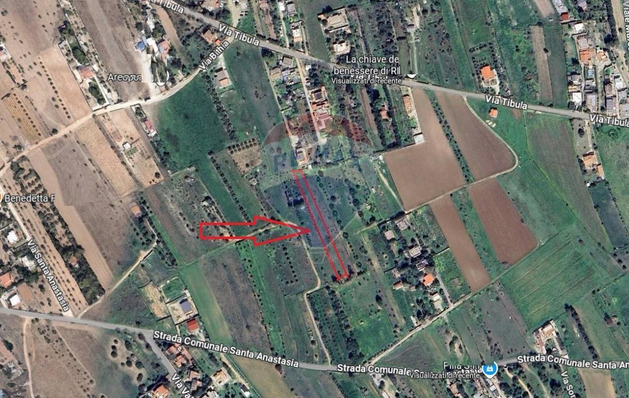 immagine annuncio 6 di 8