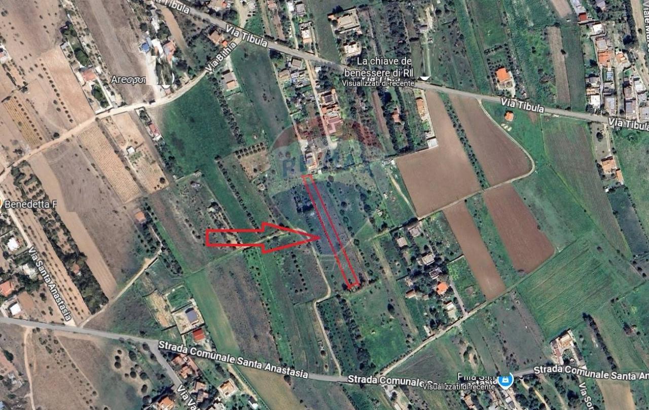 immagine annuncio 5 di 8