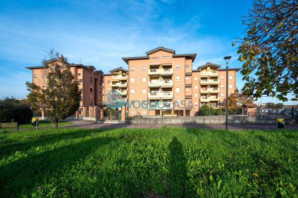 immagine annuncio 7 di 15