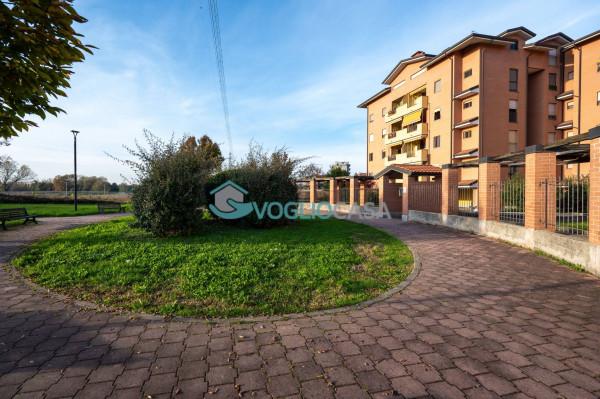 immagine annuncio 10 di 15