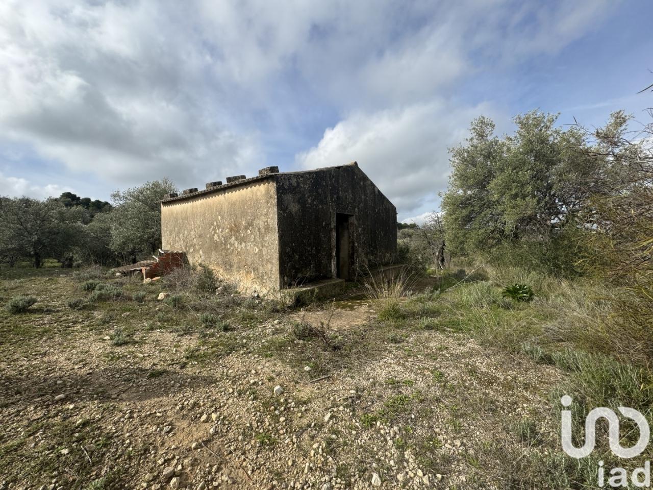 immagine annuncio 1 di 8