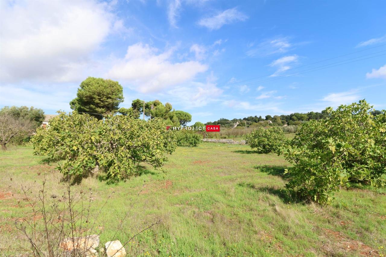 immagine annuncio 3 di 6