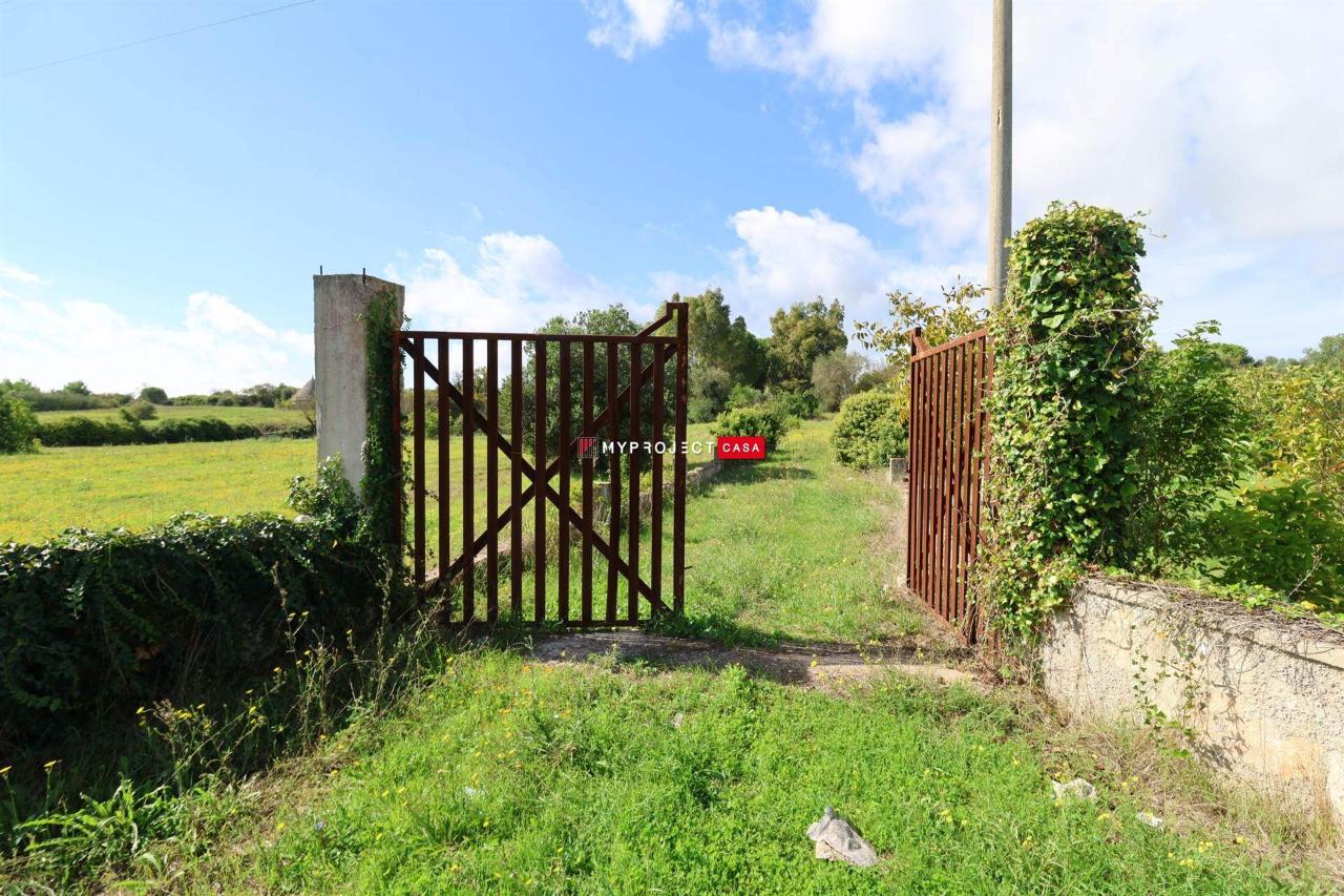 immagine annuncio 5 di 6