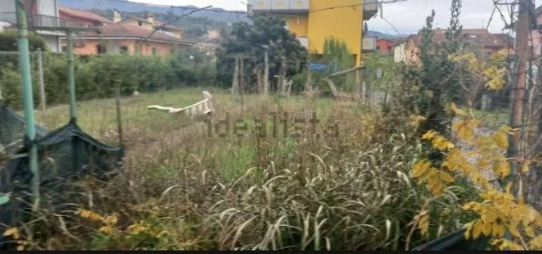 immagine annuncio 11 di 12