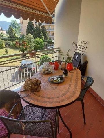 Apartament in Via Eugenio Bellegoni, 1, Sarzana - Photo 1