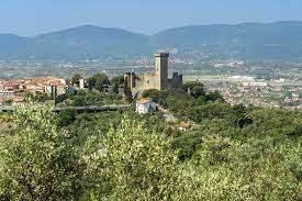immagine annuncio 10 di 14