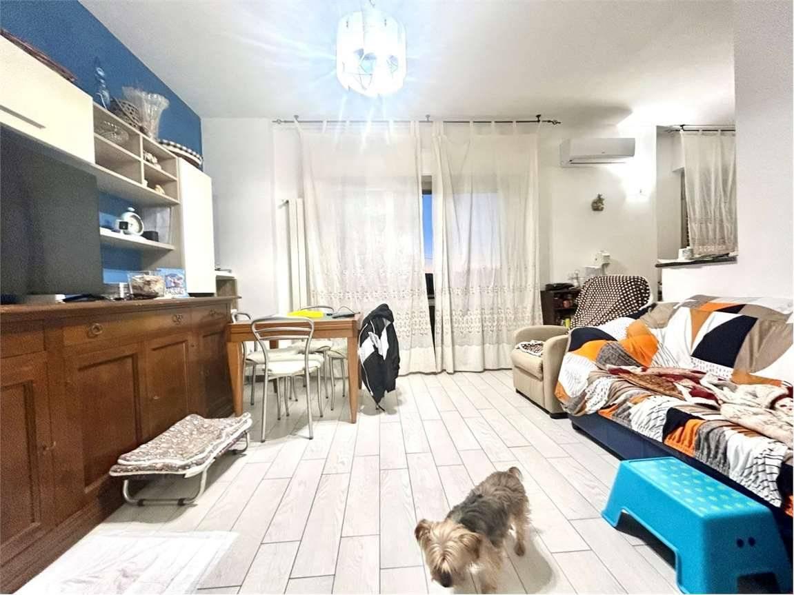 immagine annuncio 2 di 14