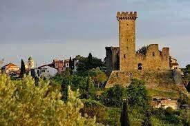 immagine annuncio 13 di 14