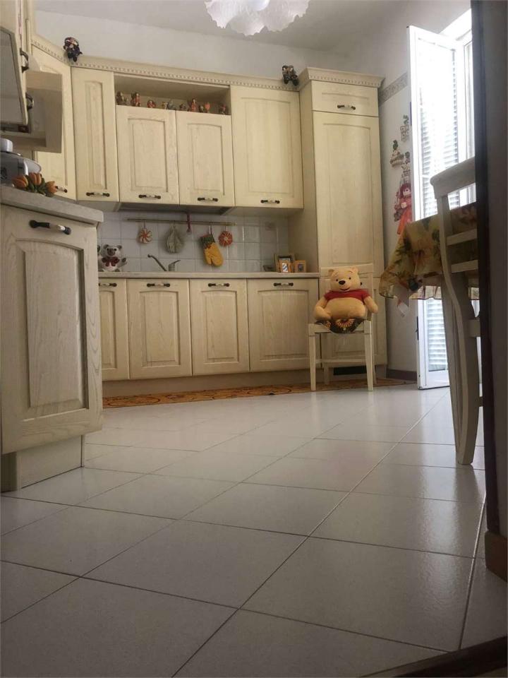 immagine annuncio 6 di 14