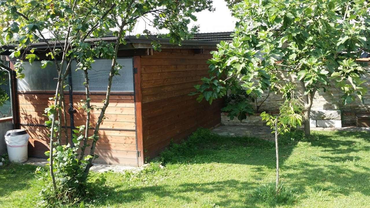 immagine annuncio 3 di 15