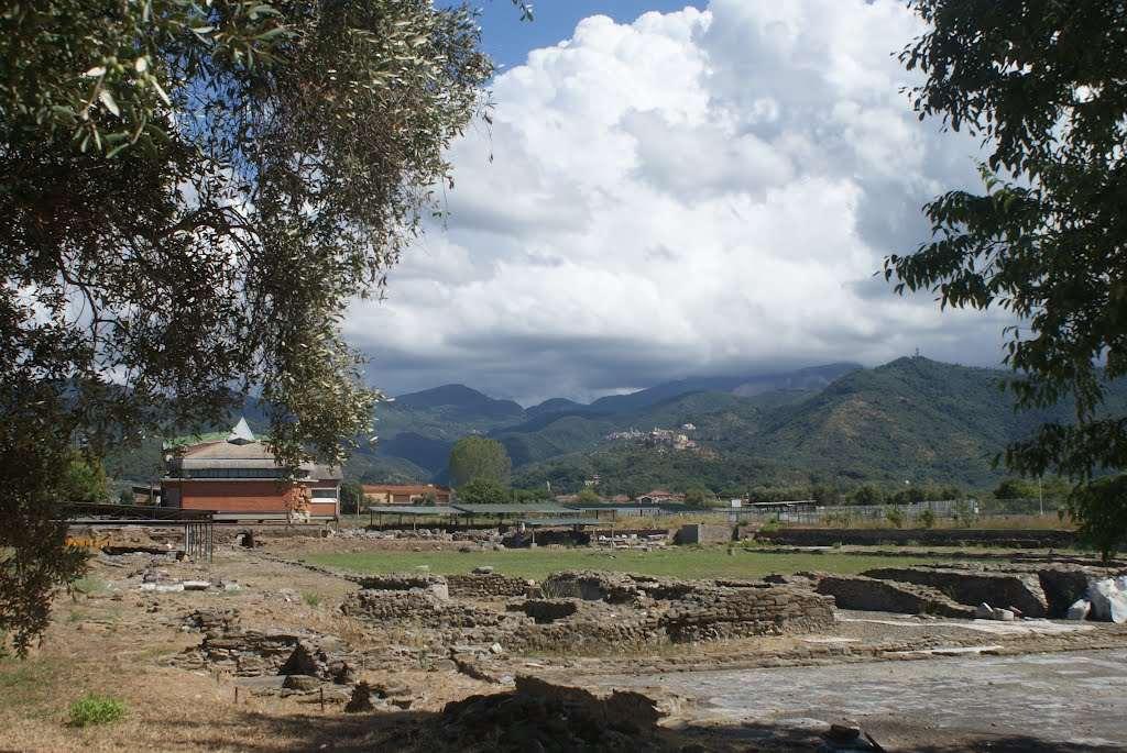 immagine annuncio 7 di 15