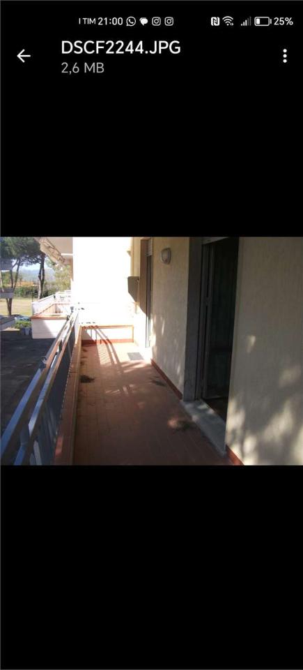 immagine annuncio 6 di 8