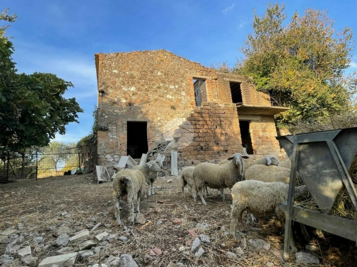 Rustico in vendita a Calvi Dell'Umbria