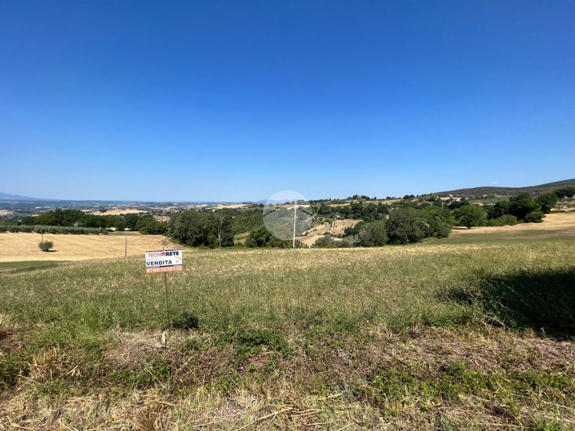 Terreno edificabile in vendita a Calvi Dell'Umbria