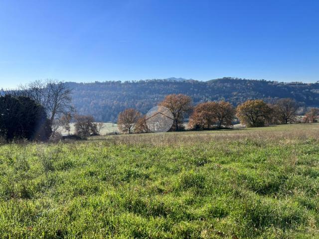 Terreno agricolo in {3}, Via Colli - Foto 1